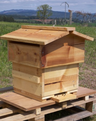 Bee Box Plans Completed warre hive - linseed