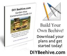 Bee Hive Plans PDF