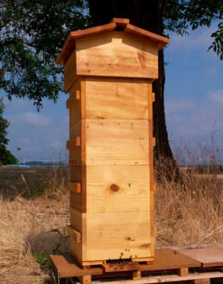 Tall Warre Hive