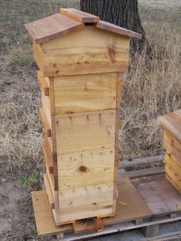 Warre Hive Ready for Harvesting