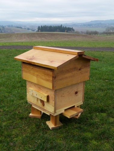 Completed and Installed Warre Hive